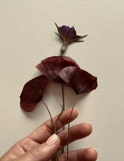 Mooo - Cadre fleurs séchées encre