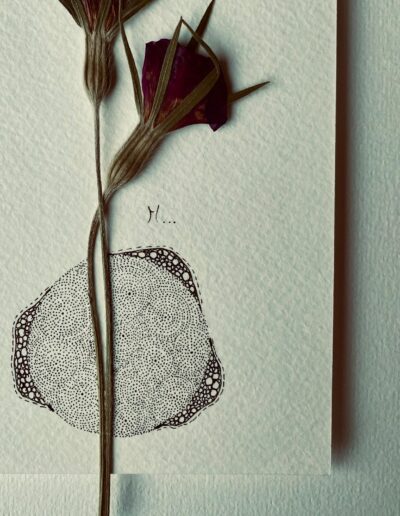 Mooo - Cadre fleurs séchées encre
